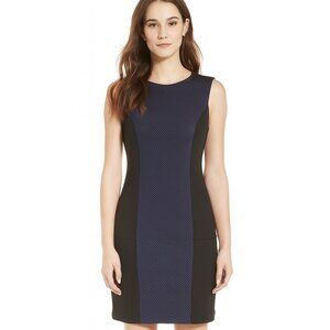 Daisy Fuentes Fit and Flare Dress - Black and Blue - Size 10